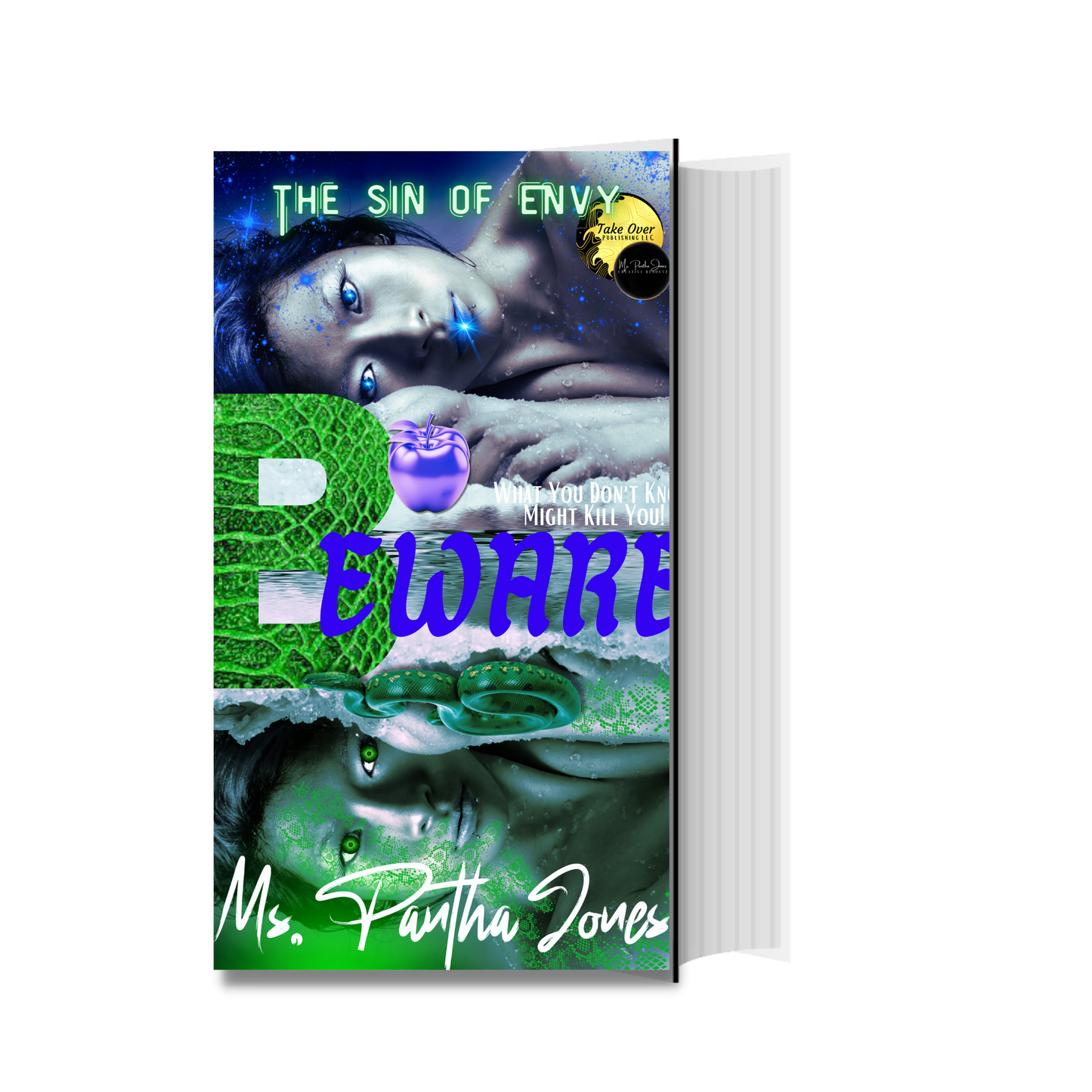 Beware: The Sin of Envy Novella